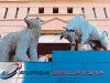 Bursa Malaysia announces 21 additions to F4GBM index constituents