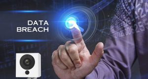 Smart tech maker Wyze admits leak of customer data Photo: Wyze logo on dark background - illustrating article 'Smart tech maker Wyze admits leak of customer data'
