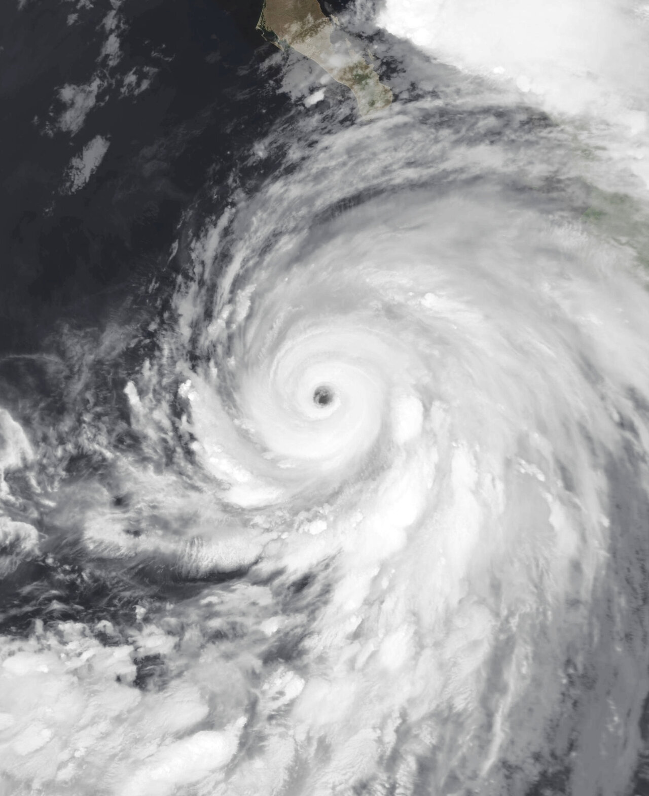 ai-fill-49731 Tropical Storm Hilary Hits Baja California Coast