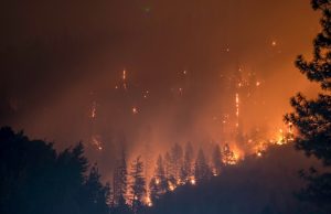 Jasper Wildfire Destroys 358 Structures, 25,000 Evacuated Aerial view of burned structures and charred landscape in Jasper after the wildfire swept through the town.