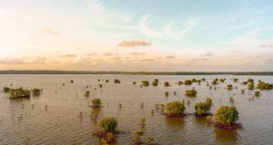 Hurricane Helene Kills 37 in Georgia After 110 mph Strike Floodwater surrounds homes and submerged cars in an Atlanta neighborhood after Hurricane Helene’s 110 mph winds and torrential rain.