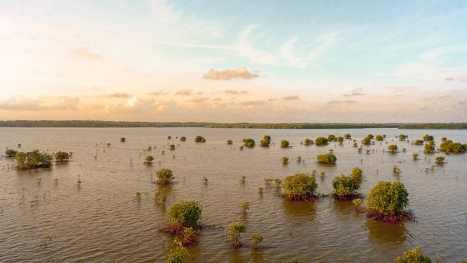 Hurricane Helene's 110 mph Winds Hit Georgia After Florida Landfall Floodwater surrounds homes and submerged cars in an Atlanta neighborhood after Hurricane Helene’s 110 mph winds and torrential rain.
