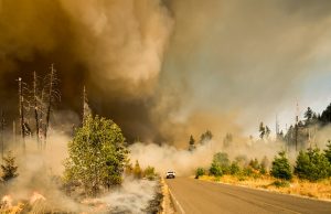 Gray Fire Forces Evacuation of Entire Medical Lake City Smoke from the Gray Fire billows over Medical Lake, Washington, as residents evacuate past a road sign.
