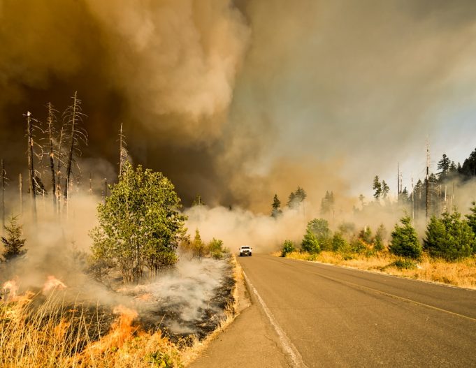 Gray Fire forces mandatory evacuation of entire Medical Lake community Smoke from the Gray Fire billows over Medical Lake, Washington, as residents evacuate past a road sign.