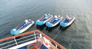 Niger River Boat Sinks, 100+ Missing Near Mokwa Rescue workers search the wide Niger River near Mokwa for survivors after a wooden boat carrying 300 passengers sank.