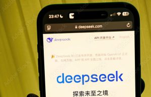 DeepSeek Deepseek R1 App Interface Screenshot