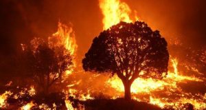 Four Killed in Mexico State Wildfires Firefighters battling a wildfire in a forested area of Mexico State, with flames and smoke rising above the trees.