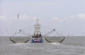 Fishing Boat Sinks Off Massachusetts, 1 Dead, 6 Missing A 72-foot fishing boat sinks in rough seas off the Massachusetts coast, with rescue crews searching for missing crew members.
