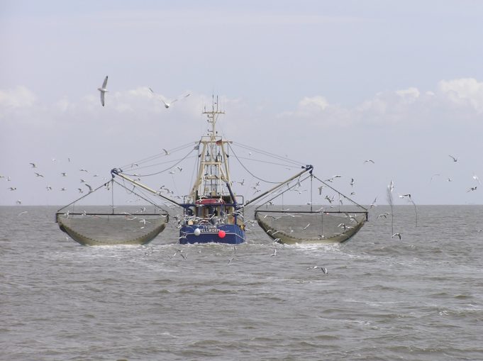 Fishing Vessel Sinks Off Massachusetts Coast, One Dead, Six Missing A 72-foot fishing boat sinks in rough seas off the Massachusetts coast, with rescue crews searching for missing crew members.