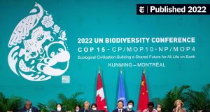 COP15 Adopts Kunming-Montreal Biodiversity Framework Delegates at COP15 conference hall applaud after adopting the Kunming-Montreal Global Biodiversity Framework.