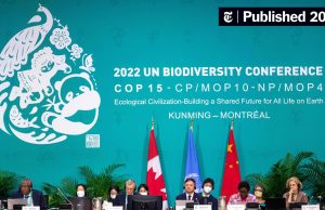 COP15 Adopts Kunming-Montreal Biodiversity Framework Delegates at COP15 conference hall applaud after adopting the Kunming-Montreal Global Biodiversity Framework.