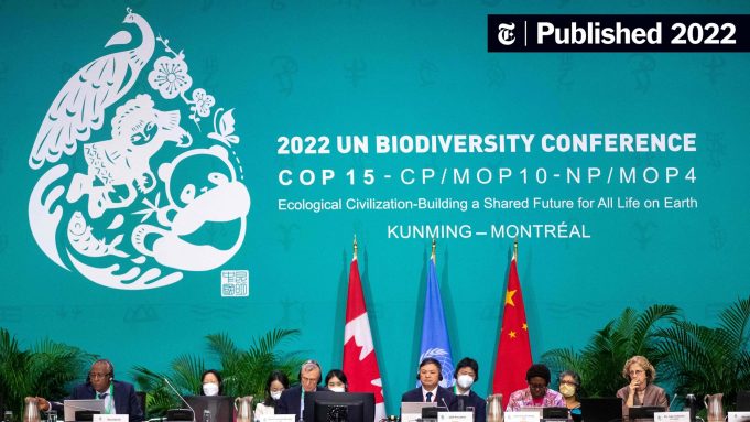 Kunming Montreal Cop15 Biodiversity Agreement Delegates at COP15 conference hall applaud after adopting the Kunming-Montreal Global Biodiversity Framework.