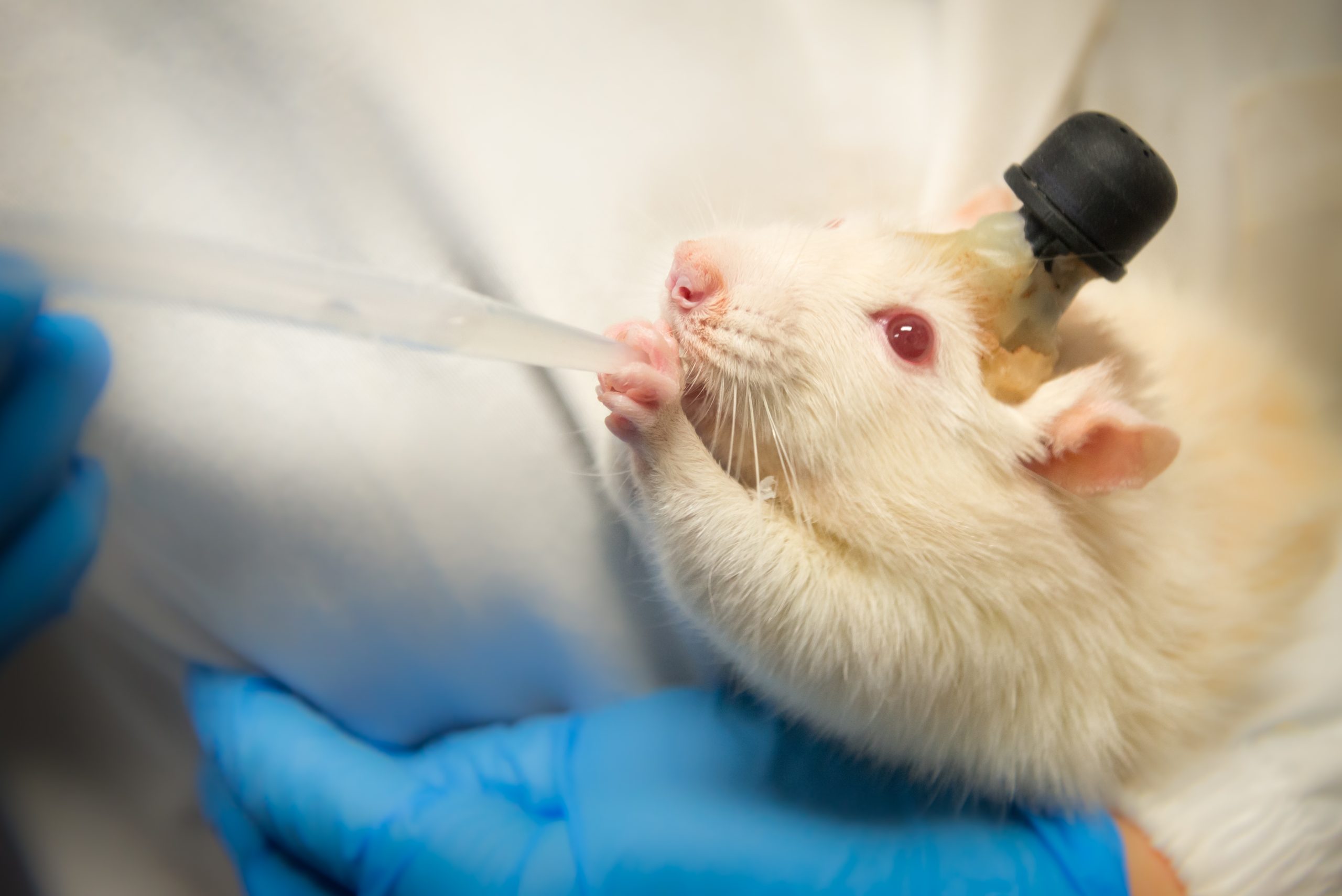 ai-fill-49823 Swiss Brain Implants Restore Paralyzed Man's Walking