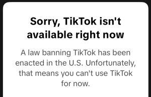 Efforts to ban TikTok in the United States Tiktok Ban Us Capitol