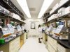 Base Editing of Human Embryos Shows Mixed Success in Precision Base Editing of Human Embryos Shows Mixed Success in Precision