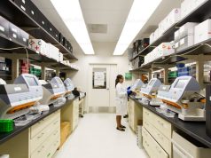 Base Editing of Human Embryos Shows Mixed Success in Precision