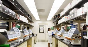 Base Editing of Human Embryos Shows Mixed Success in Precision Base Editing of Human Embryos Shows Mixed Success in Precision