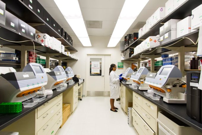 Base Editing of Human Embryos Shows Mixed Success in Precision
