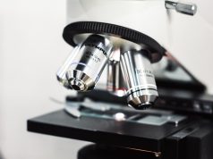 Researchers Unveil 3D Microscopy of T Cell Killing Cancer Cells Researchers Unveil 3D Microscopy of T Cell Killing Cancer Cells