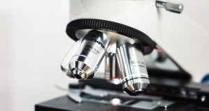 Researchers Unveil 3D Microscopy of T Cell Killing Cancer Cells