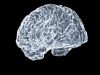 Meta’s Tribe v2 model predicts brain activity from images, text, and audio Meta's Tribe v2 model predicts brain activity from images, text, and audio