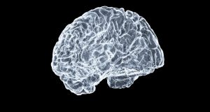 Meta’s Tribe v2 model predicts brain activity from images, text, and audio Meta's Tribe v2 model predicts brain activity from images, text, and audio