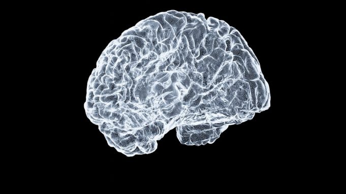 Meta's Tribe v2 model predicts brain activity from images, text, and audio Meta's Tribe v2 model predicts brain activity from images, text, and audio