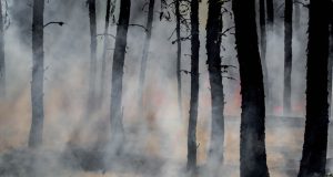 70,000 Died in Europe’s 2022 Heatwaves, Study Finds A cracked, dry landscape under a blazing sun, illustrating the deadly heatwaves that struck Europe in summer 2022.