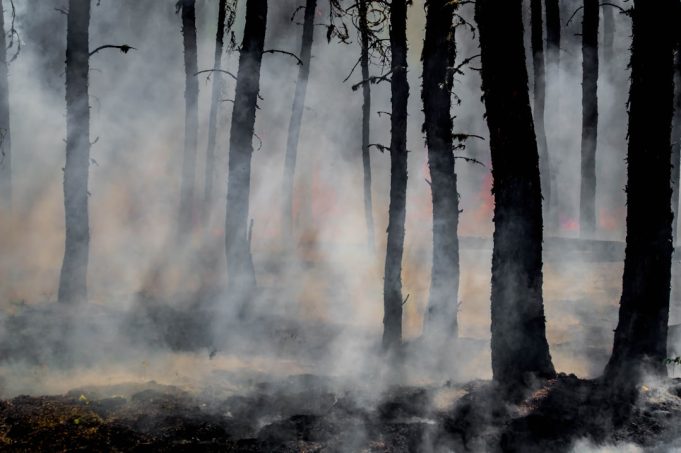 2022 European Heatwaves Caused 70,000 Deaths, New Study Finds A cracked, dry landscape under a blazing sun, illustrating the deadly heatwaves that struck Europe in summer 2022.