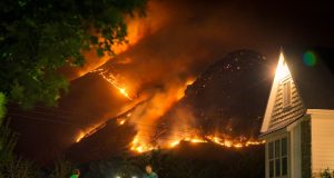 Greece Heatwave Sparks 80 Wildfires, 28 Dead, 2,000 Evacuated Orange flames race through dry Greek pine forest toward coastal village under hazy 45 °C sky