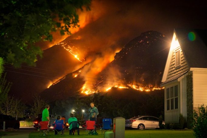 Greece’s Record Heatwave Fuels 80 Wildfires, Killing 28 and Injuring 75 Orange flames race through dry Greek pine forest toward coastal village under hazy 45 °C sky