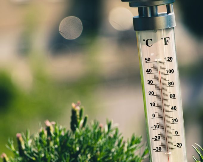 Manila police arrest businessman over thermometers priced 213% above legal ceiling Police officers inspect plastic balikbayan boxes containing infrared thermometers during a profiteering arrest in Manila.