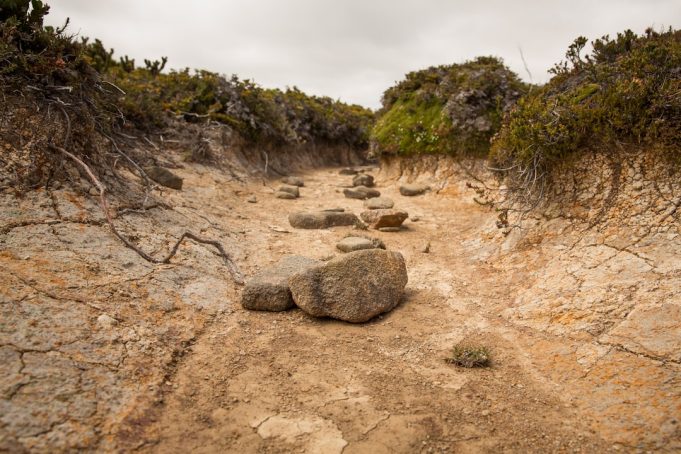 A parched riverbed in Europe with cracked earth and low water levels under a hot sun.